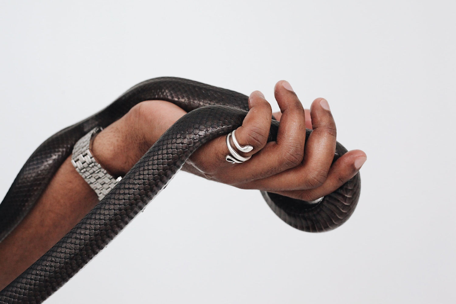 Schlangenring aus Edelstahl und schwarze Lederschlange in der Hand